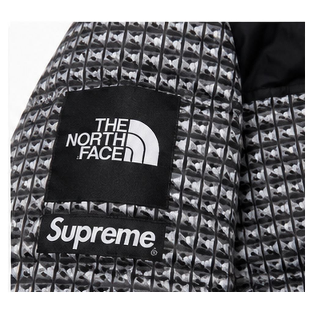 Pattern Logo The North Face Puffer Jacket for Photo Ready Looks