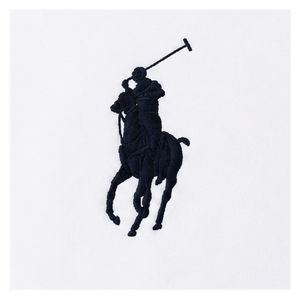Polo Ralph Lauren-Style Big Pony Zip Hoodie